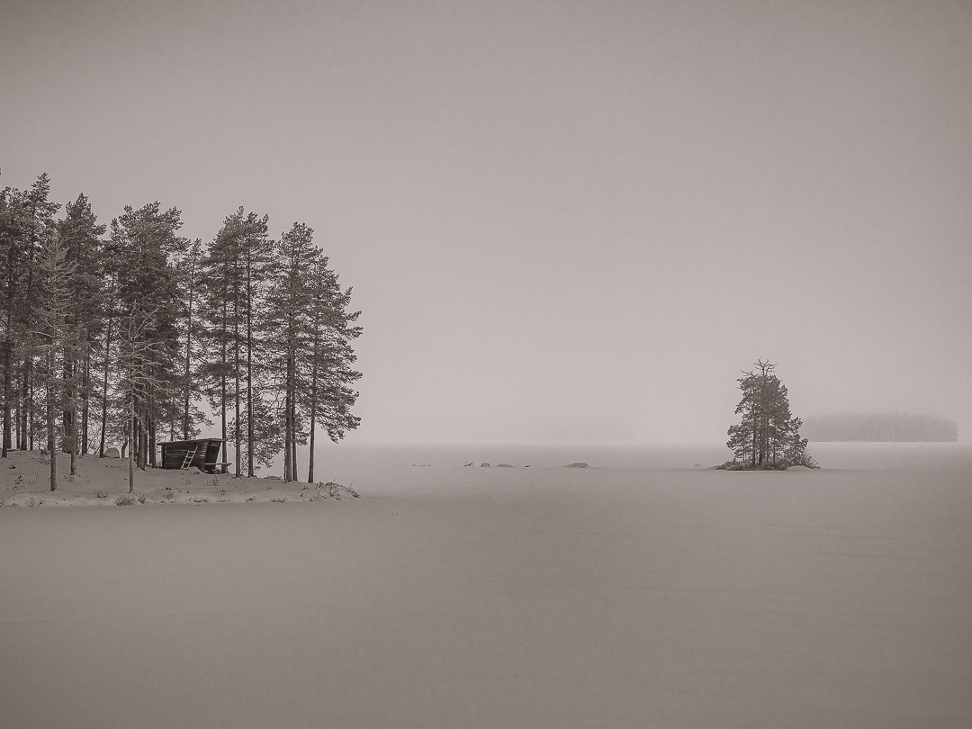 Stefan Persson - Vinterljus, Foto, 	800;-
