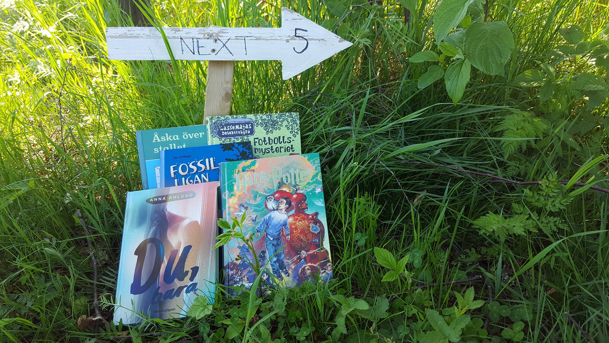 Fem böcker i gröngräset under en pil med texten Next 5.