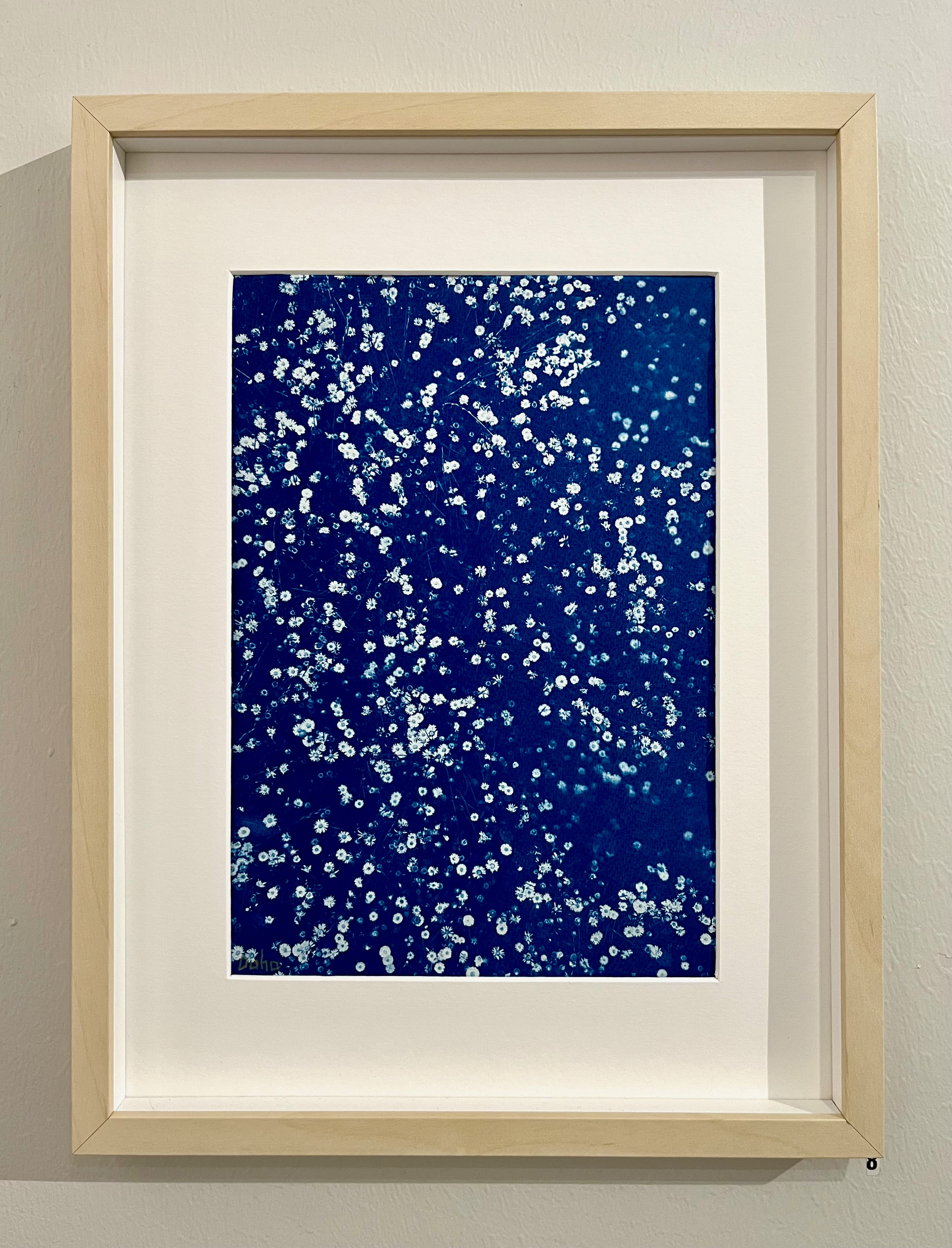 cyanotypi på akvarellpapper, 30x40cm	800kr