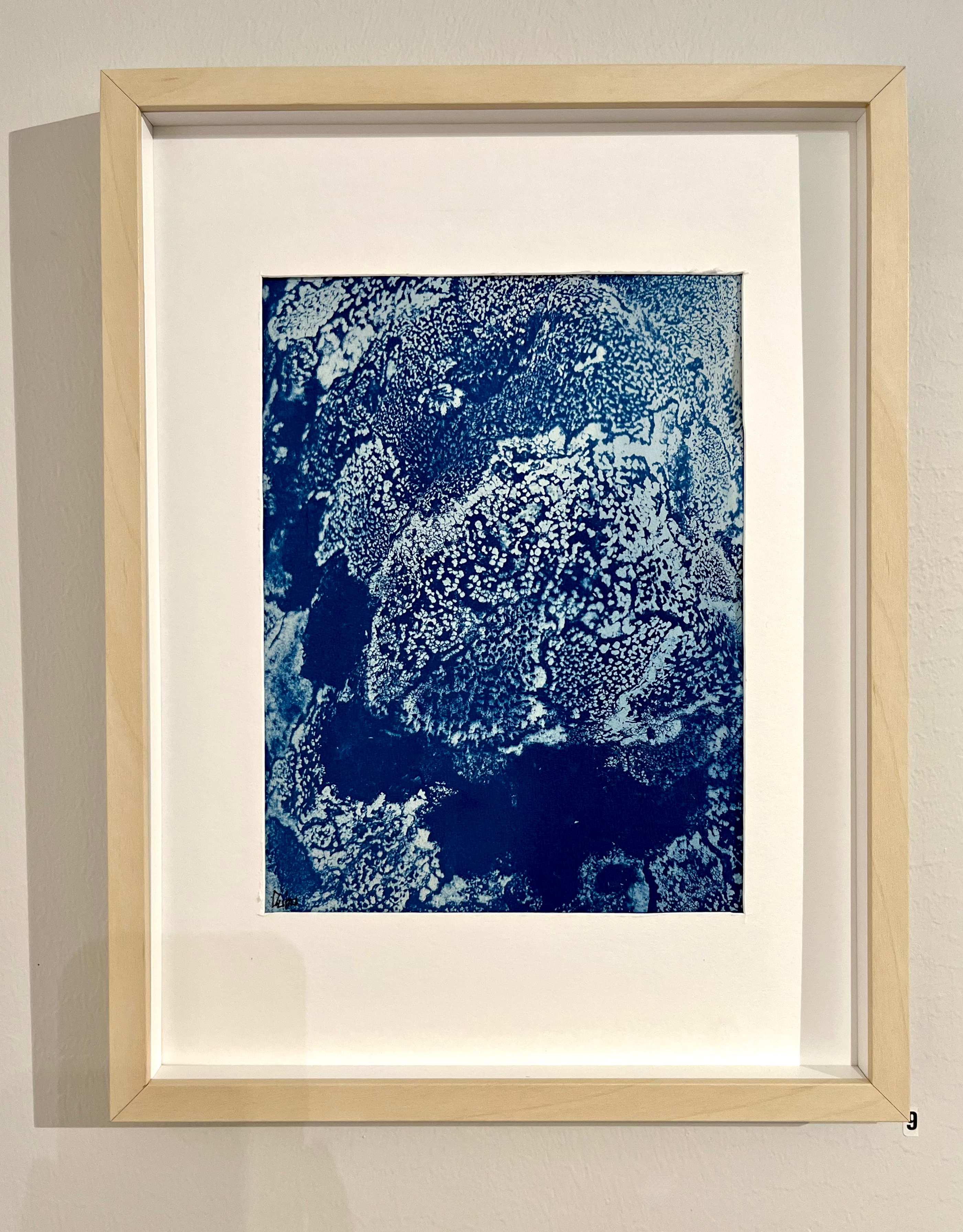 cyanotypi på akvarellpapper, 30x40cm	800kr