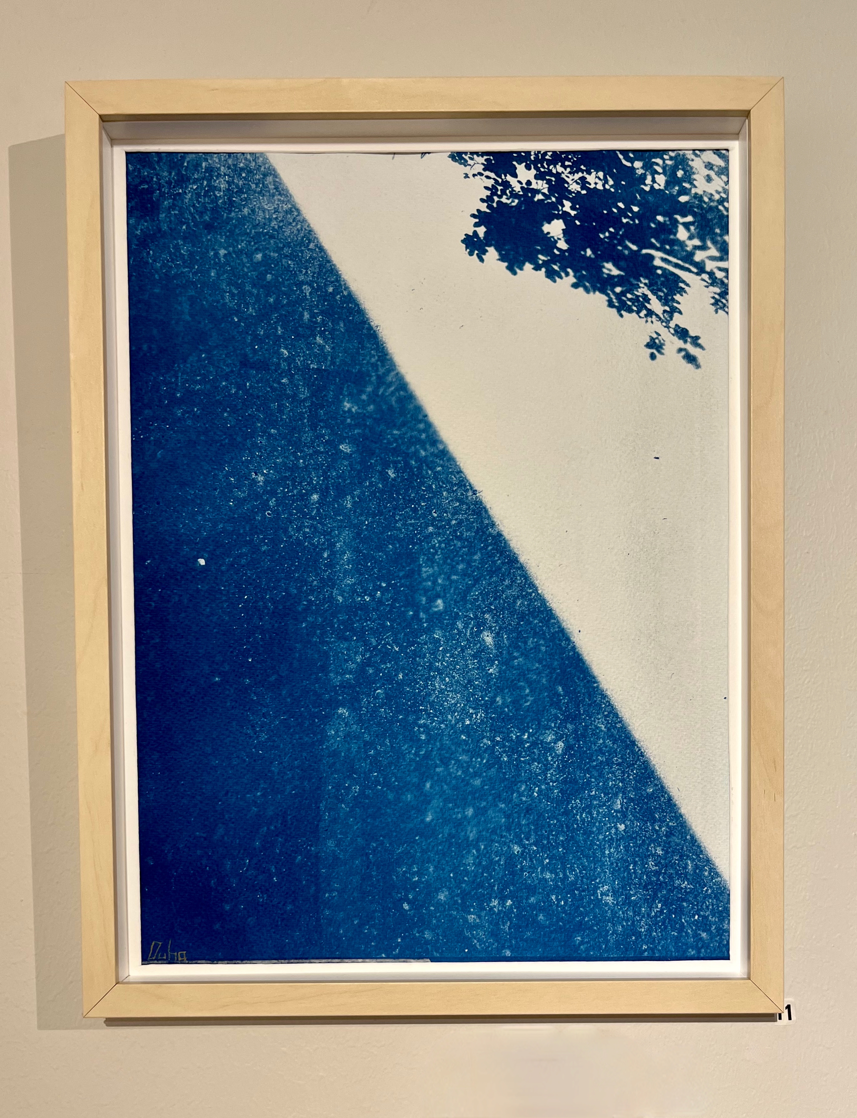  cyanotypi på akvarellpapper, 30x40cm	800kr