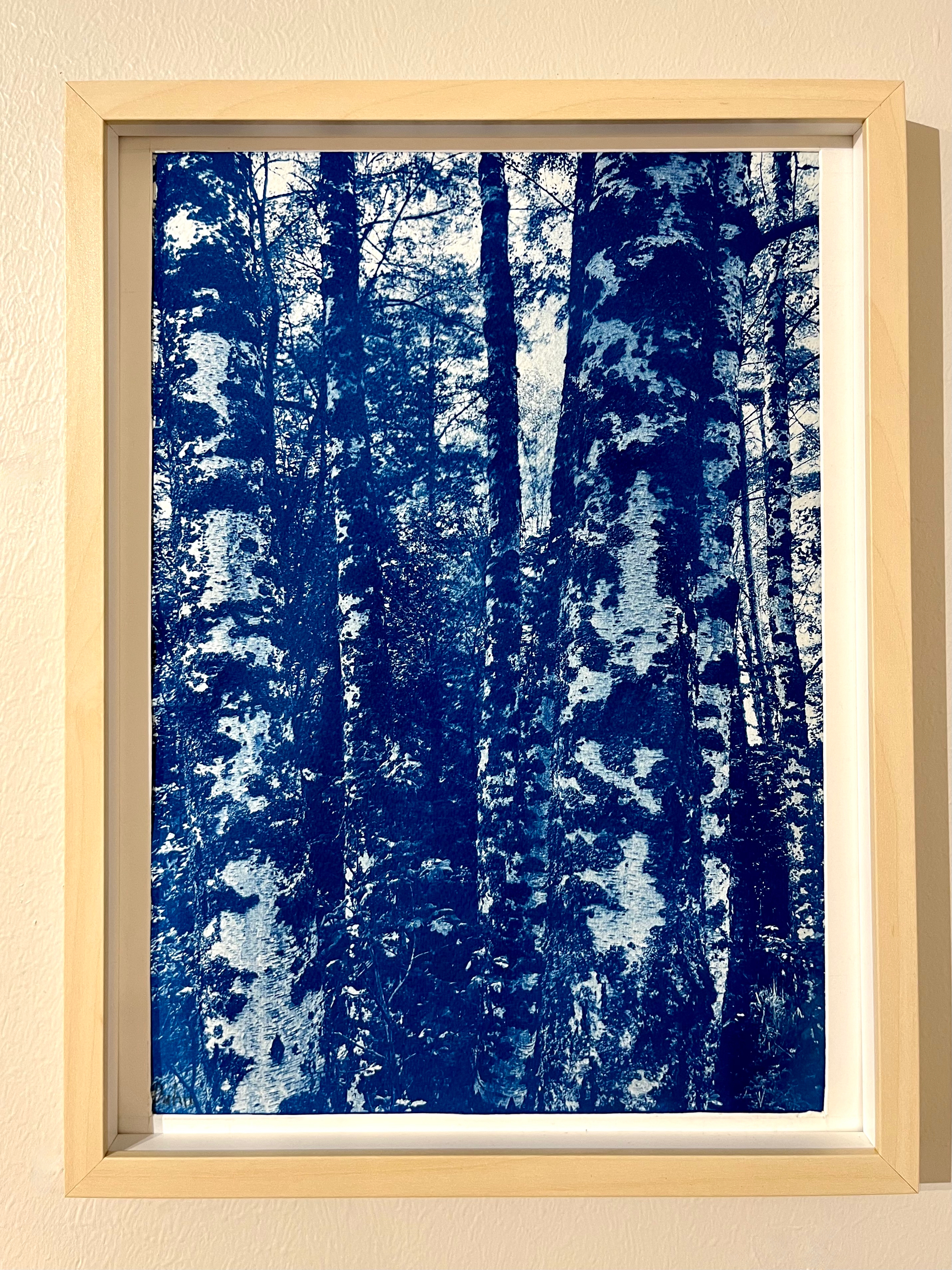 cyanotypi på akvarellpapper, 30x40cm	800k