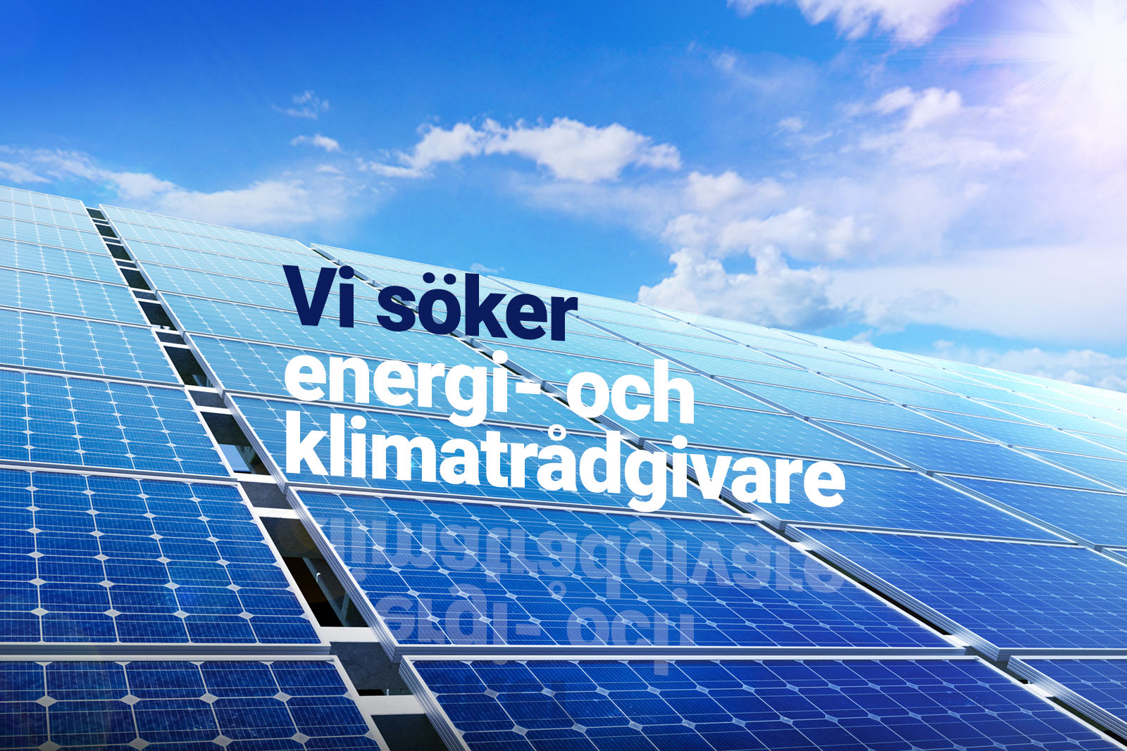 Solpaneler under blå himmel. På solpanelerna står texten "Vi söker energi- och klimatrådgivare" och texten speglas i solpanelerna.