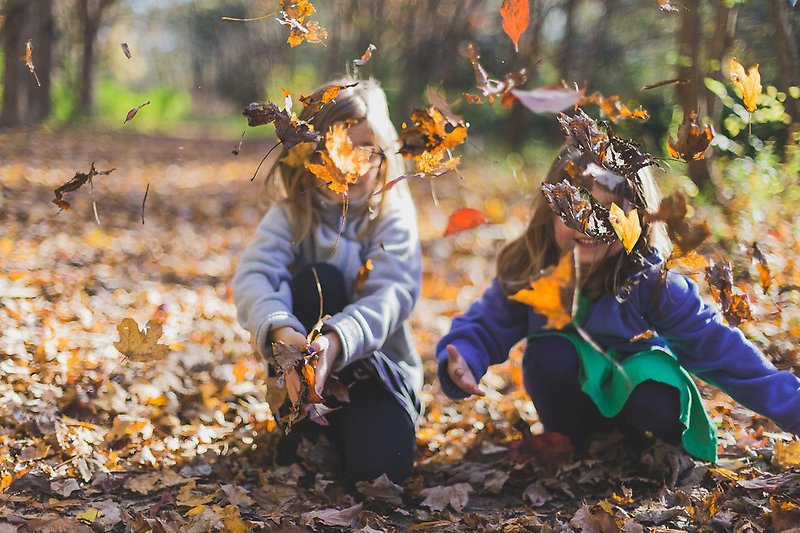 Barn som kastar löv