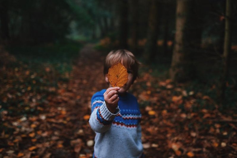 pojke i skog som håller i ett löv