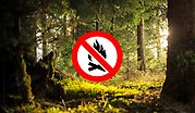 Skog med ikon för eldningsförbud
