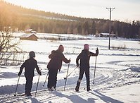 Familj åker längdskidor i ett öppet vinterlandskap.