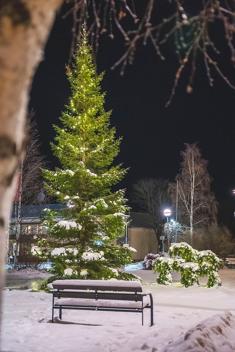 En julgran med tända lampor i står vid en snötäckt parkbänk och några snötäckta julbockar med lampor i.